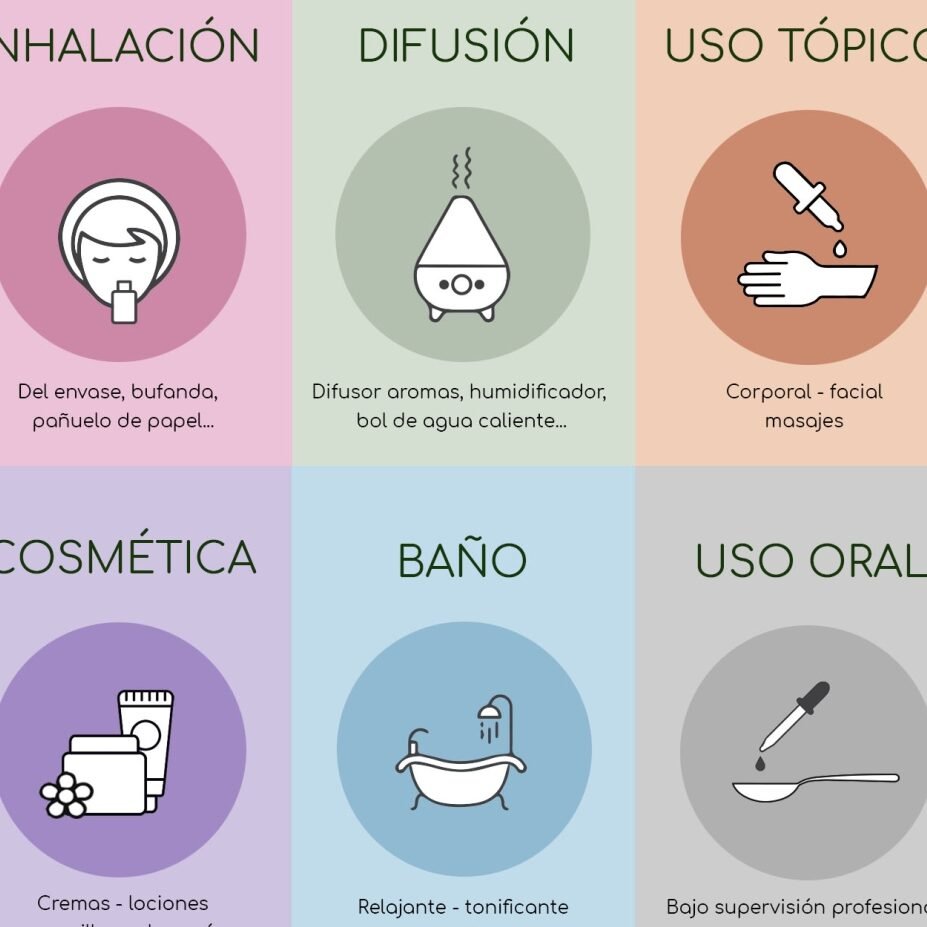 Usar aceite idóneo: ¿Por qué es crucial? 1 usar aceite idoneo por que es crucial